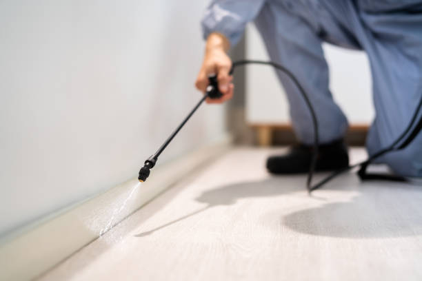 Licensed Pest Control service in Spencer, NC - Show Me Pest Control