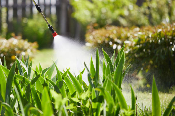 24/7 Emergency Mosquito Control experts in Spencer, NC
